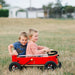 Wishbone Wagon On Grass