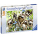 Ravensburger Sloth Selfie 500 Piece Puzzle box angle
